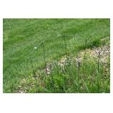 1177-Back Yard