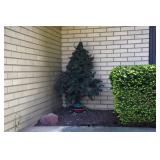 934-Back Yard
