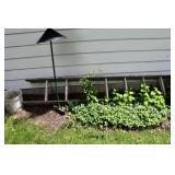 1006-Back Yard
