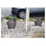 1371-Back Yard
