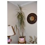 0048-Living Room