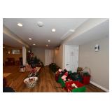0738-Basement