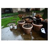 1001-Back Yard
