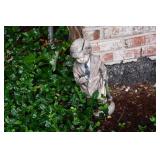 1005-Back Yard