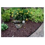 1029-Back Yard