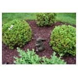 1032-Back Yard