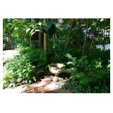 1222-Back Yard