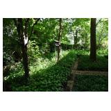 1225-Back Yard