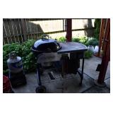 657-Back Yard