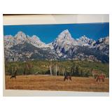 Photography, Furniture, Sports Collectibles in Living Estate by When Pigs Fly