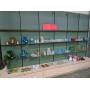 Dempsey Auctions Victorian Glass, Toys, Silver Coins, Antiques