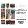 Appleton Consignment Store Online Auction