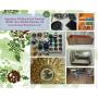 Appleton Online Store Auction
