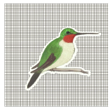 Hummingbird -Screen Door Magnet - Slam No More- Stop People from Running- Hole Screen Door Patch 