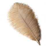 Shekyeon 12-14inch(30-35cm) Ostrich Feathers Plumes for Wedding Centerpieces Pack of 10 (Champagne)