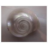 Large Turbo Marmoratus Mother of Pearl Sea Shell