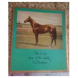 Man O’ War Horse of the Century complete portfolio by C.W. Anderson