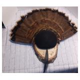 Tom Turkey Full Fan Mount on Black Polar Slab Wood Plaque