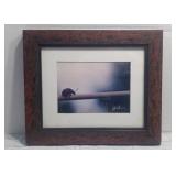 Lady Bug On Clothesline Framed Print J-013