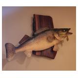 WALLEYE