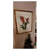 Elegant Framed Poinsettia Print