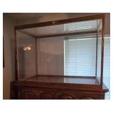 Lg Glass Display Case