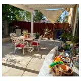 Backyard Plants and Furniture