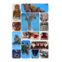 Caring Transitions Film Furniture, Jewelry, and Dolls Online Auction