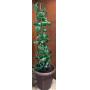 South County Practical Picks & Eclectic Finds Online Auction - Ends 8/4!