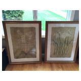 Large prints- 29 1/2” x 38 1/2”