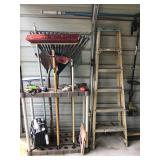 Ladder,rakes, broom  Ladder,rakes, broom