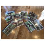 Signed watercolors  Signed watercolors