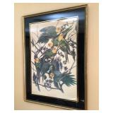 Audubon prints