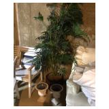 Faux palm, planters