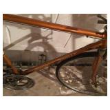 Schwinn bike