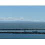 Corona Del Mar Oceanfront Estate Sale by Appointment