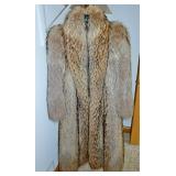 Raccoon Coat