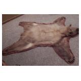 Bear Rug