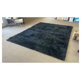 Area Rug
