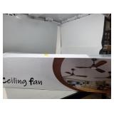 Ceiling Fan