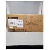 Ceiling Fan