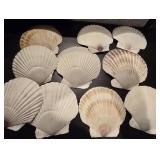 Seashell decorations