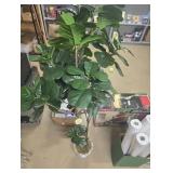 6 ft Artificial Leaf Fig Tree