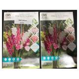 Pink Bliss Gladioli