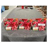 Lot of 3 Lily Black Out