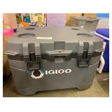 Igloo Cooler