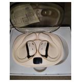 Beviliu Translation Earbuds