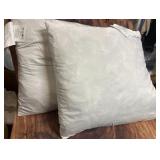 Throw Pillows
