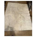 Area Rug