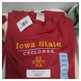 Champion. Iowa State crew neck sweatshirt